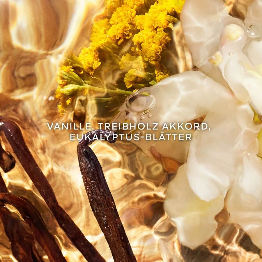 Bosca Vanilla Forte Eau de Parfum