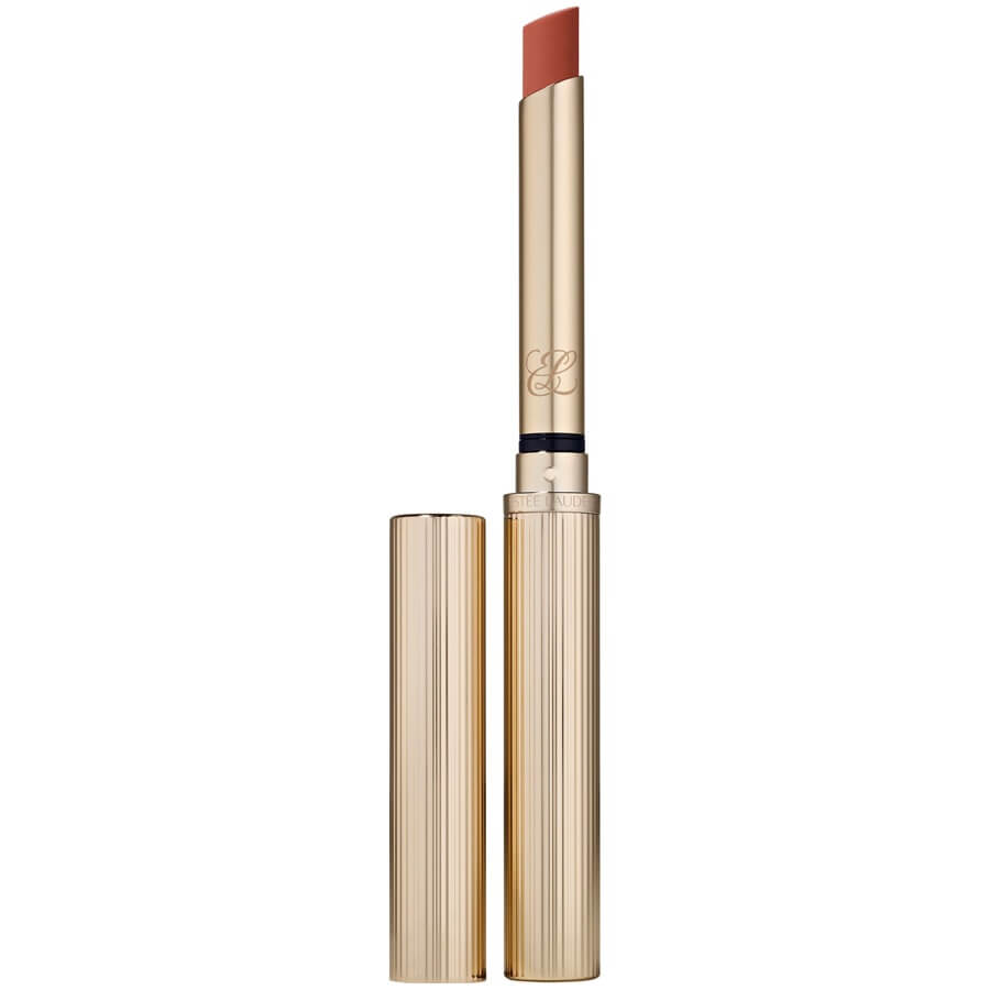 Pure Color Explicit Silk Matte Lipstick