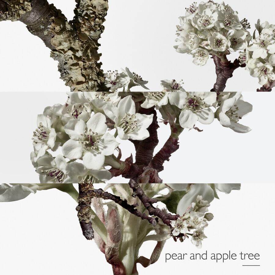 Un Jardin Sur Le Toit Eau de Toilette