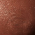Morphe - Bronzeri - Sun Siren