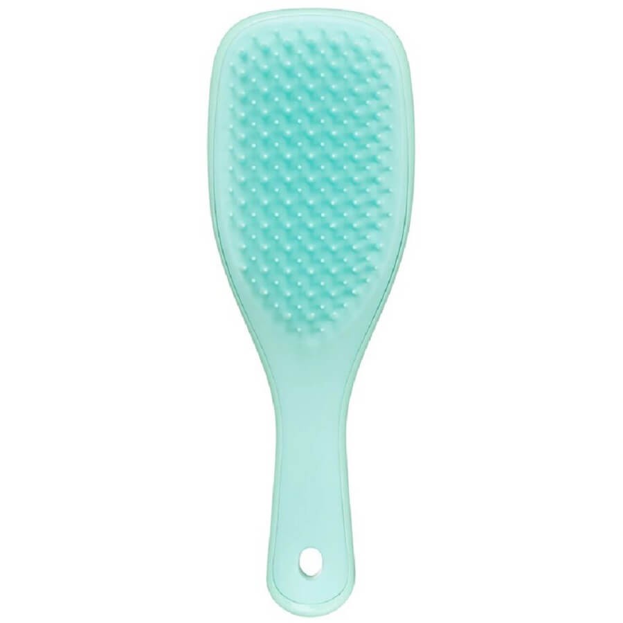 Tangle Teezer - Mini Wet Detangler Hair Brush Mint - 