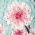 Guerlain - - Fancy Blossom