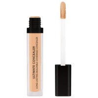Douglas Collection Ultimate Concealer