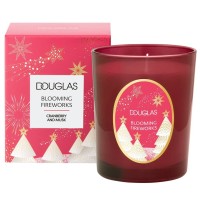 Douglas Collection Winter Blooming Fireworks Candle Cranberry