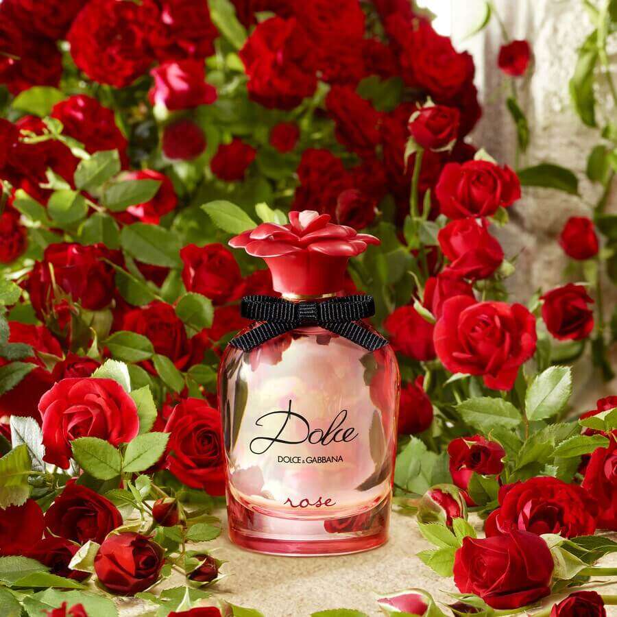 dolce and gabbana dolce rose