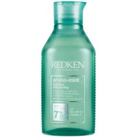 Redken Amino Mint Shampoo