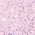 Semilac - Gel lakovi za nokte - 806 - Glitter Delicate Pink