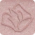 Lancôme -  - S103 Rose étoilé