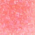 Jeffree Star Cosmetics - Sjajila za usne - Wet Peach