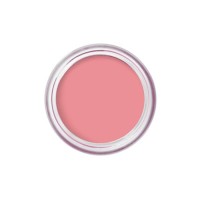 Bobbi Brown Pot Rouge Velvet Matte