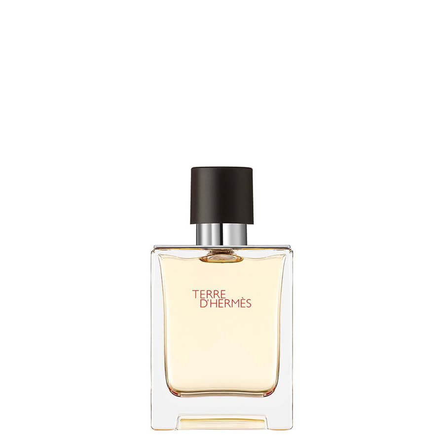 Hermès Terre D’Hermès D'Hermès Eau De Toilette Toaletna Voda 50 ml