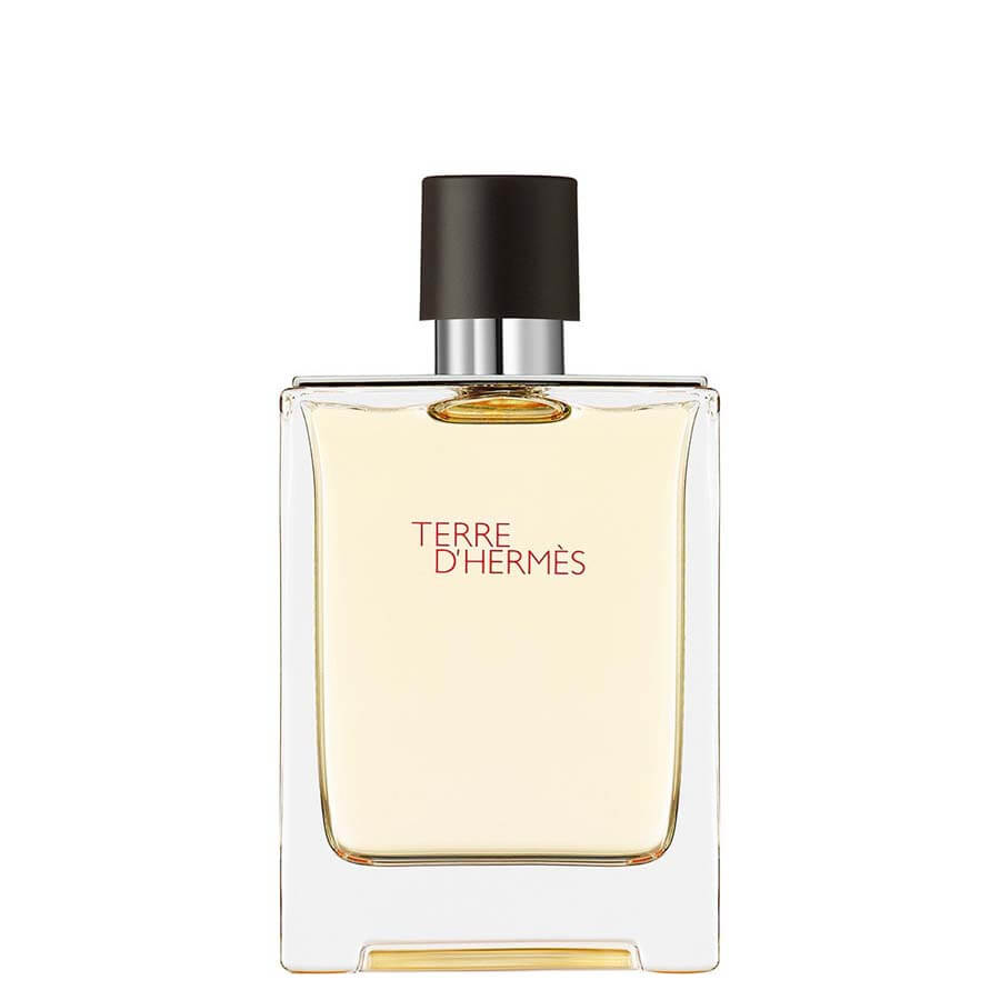 Hermès Terre D’Hermès D'Hermès Eau De Toilette Toaletna Voda 100 ml