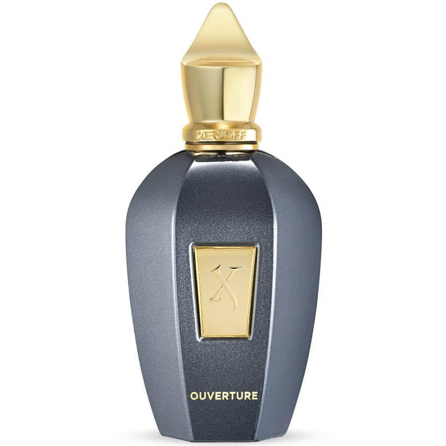 XERJOFF Vibe Ouverture Eau De Parfum Parfemska Voda 100 ml